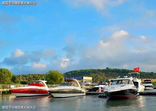 苏州金庭复园 全景瞰湖美宅，致献诗意栖居